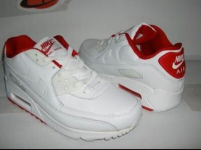 Baskets Nike Air Max taille 42
