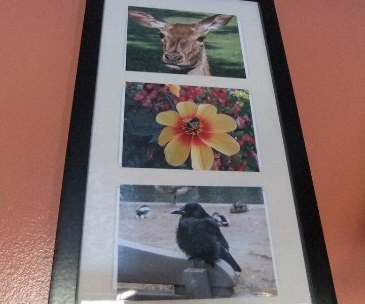 Tableau de décoration