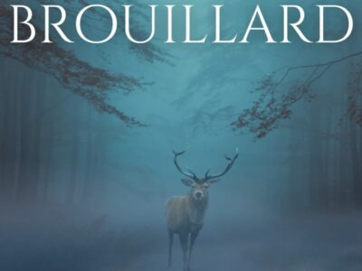 Livre Au delà du brouillard