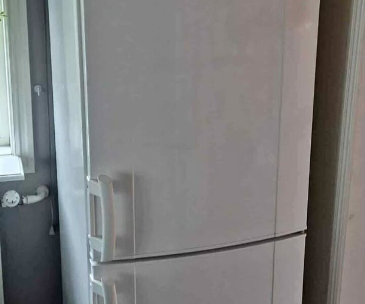 frigo electrolux