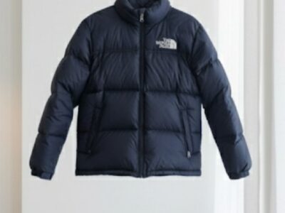 veste the north face