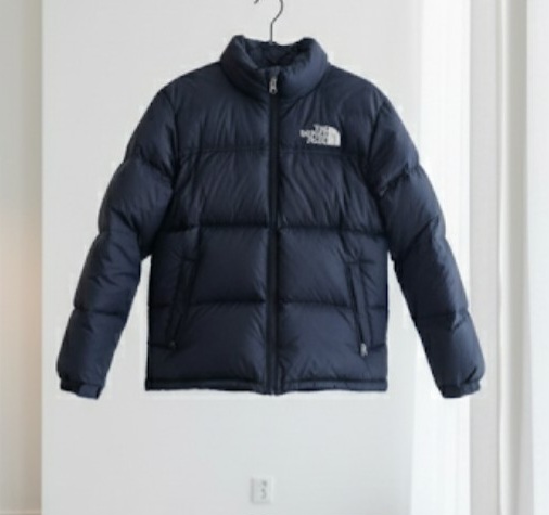 veste the north face