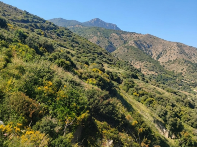 terrain 3h