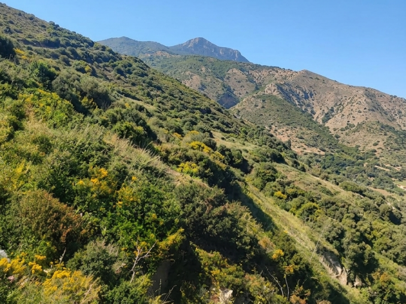 terrain 3h