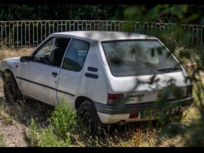 Voiture 205