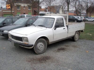 504 bachi
