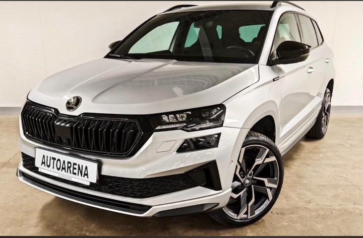 Skoda karoq 2024