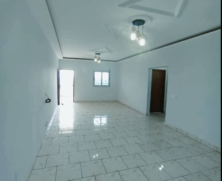 appartement f3 alger