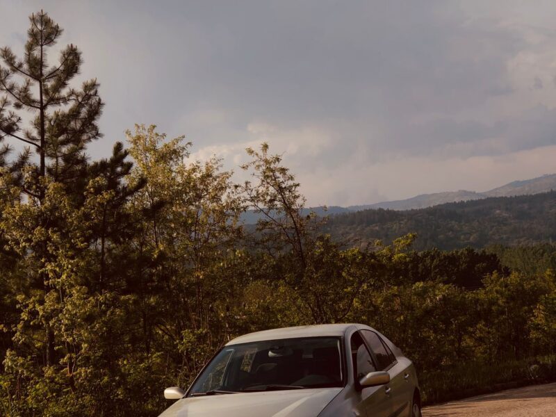 Laguna
