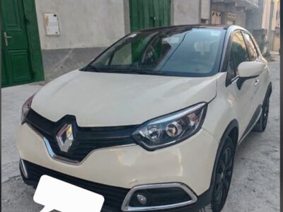 Captur 2014