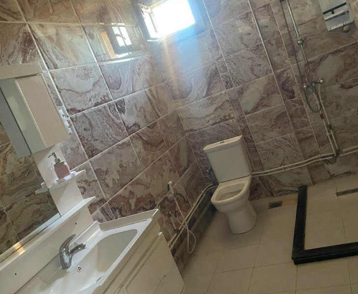 appartement alger