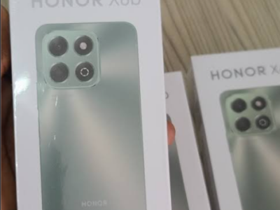 Honor x6b